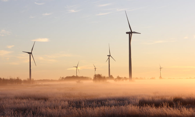 Breaking Barriers: Celebrating Diversity in Science Fiction Narratives