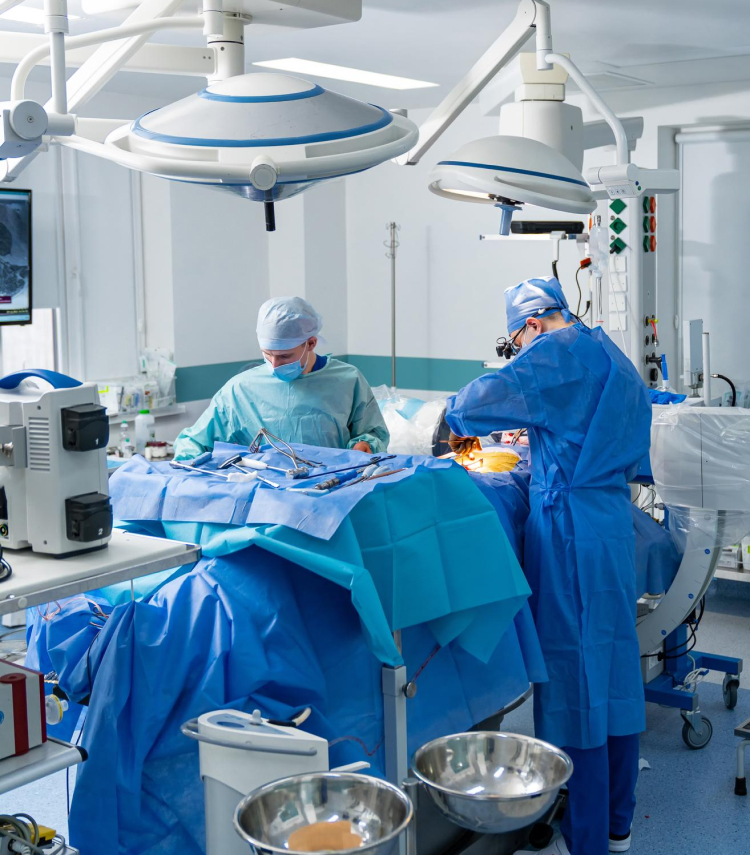 The Pros and Cons of Different Types of Diets: Which Is Right for You?